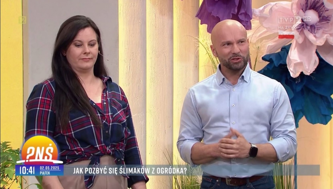 Zdjęcie główne #261 - Polish Snail Holding w „Pytaniu na Śniadanie” – ekspercki głos w dyskusji o ślimakach w Polsce