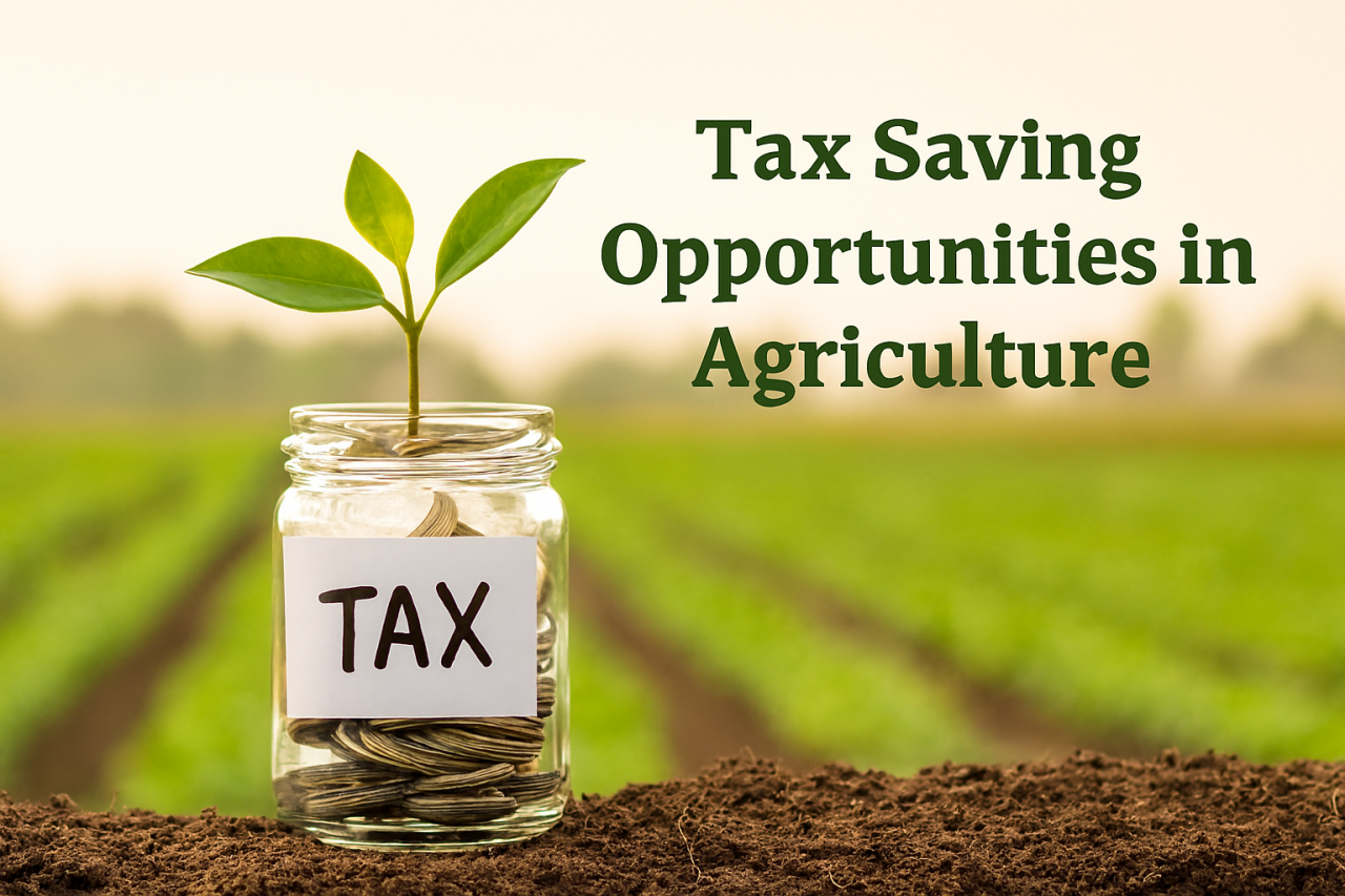 Zdjęcie główne #248 - Nie chcesz płacić podatku dochodowego? Hoduj ślimaki z PSH