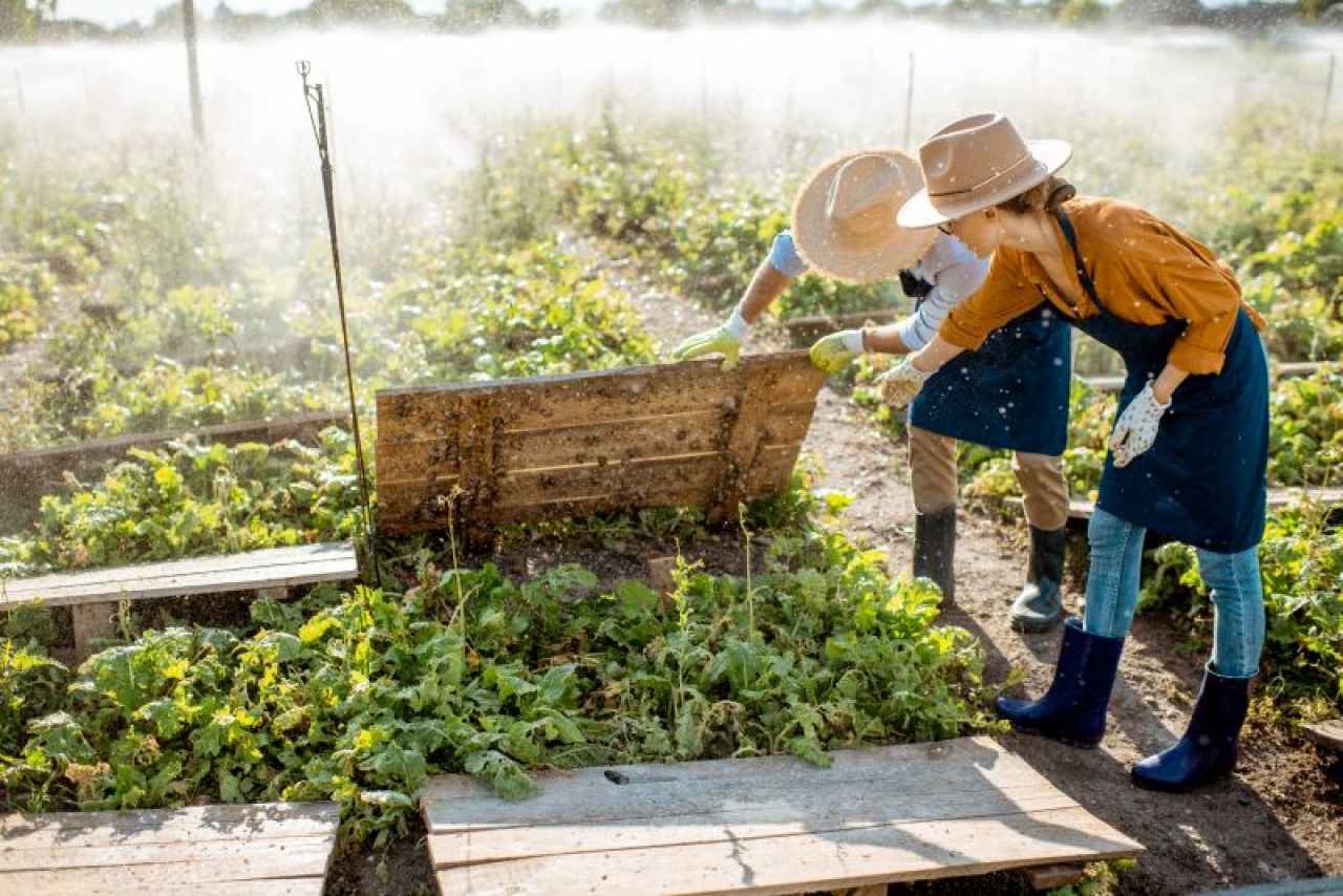 Zdjęcie główne #262 - Zostań profesjonalnym hodowcą ślimaków z Polish Snail Holding – liderem branży w Polsce i Europie!